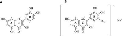 Hepatic Metabolomics Analysis of Hybrid Grouper (Epinephelus fuscoguttatus♀×Epinephelus polyphekadion♂) Fed With Quercetin and Sodium Quercetin-5′-Sulfonates